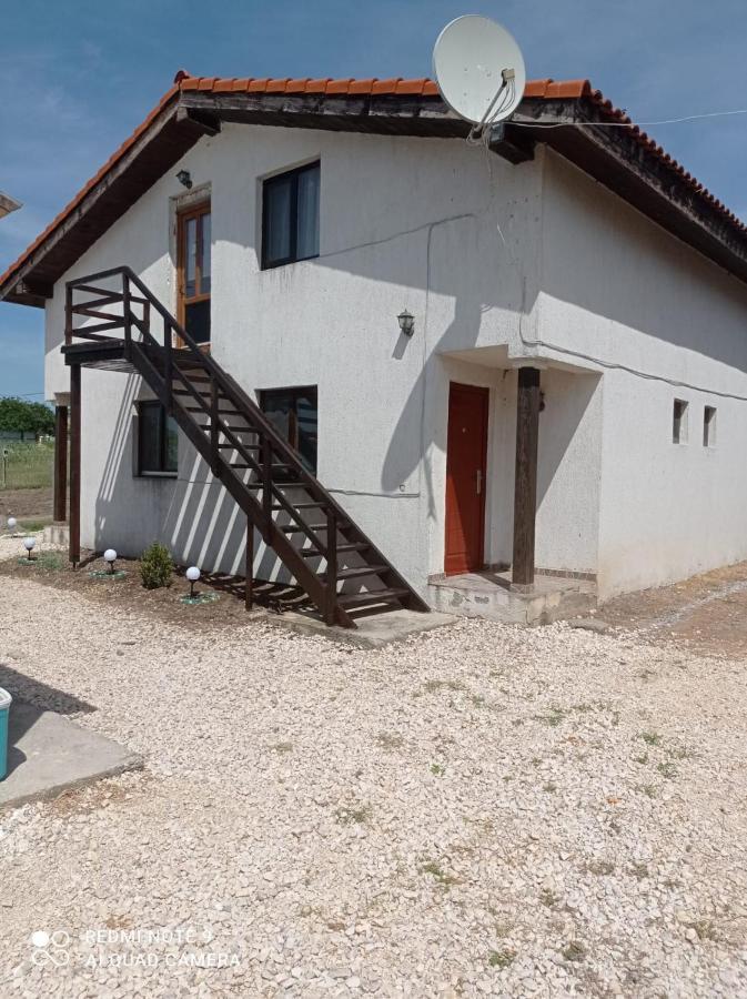 Vila Lotus Murighiol Exterior photo